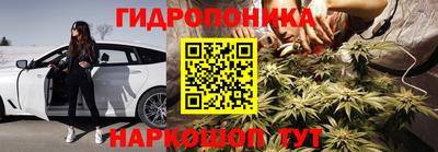 дмт Ставрополь