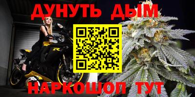 дмт Ставрополь