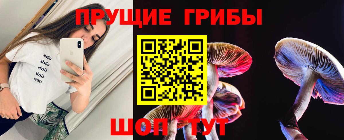 Борзя  Псилоцибиновые грибы Magic Shrooms  Вход с VPN  Галлюциногенные грибы мицелий 