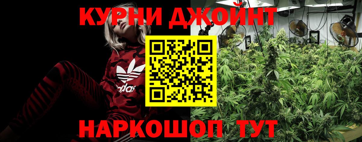 Конопля план Борзя